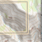 39110NE Page 82 Price Topo Preview 3