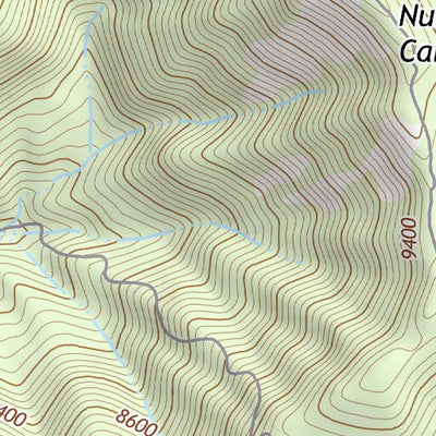 39110NE Page 89 Price Topo Preview 3