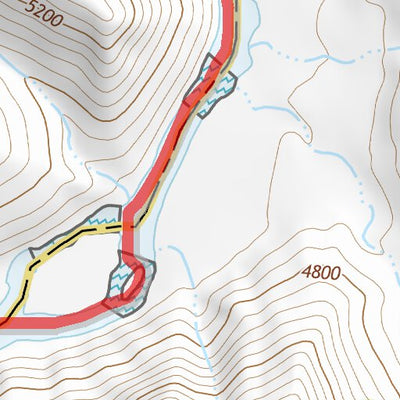 39110NE Page 96 Price Topo Preview 2