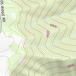 39110NE Page 101 Price Topo Preview 2