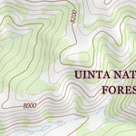 39111NE Page 11 Nephi Topo Preview 2