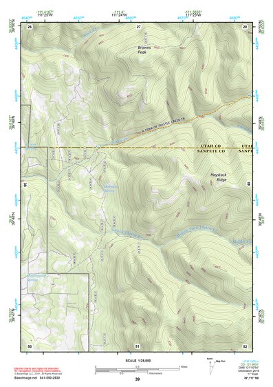 39111NE Page 39 Nephi Topo Preview 1