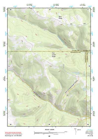 39111NE Page 42 Nephi Topo Preview 1