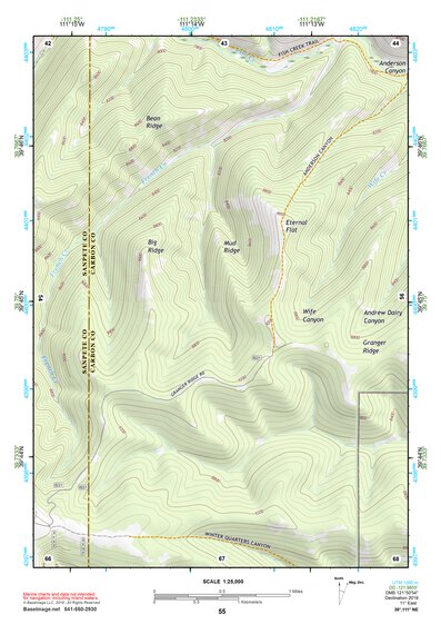 39111NE Page 55 Nephi Topo Preview 1