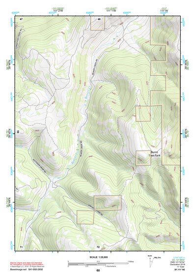 39111NE Page 60 Nephi Topo Preview 1