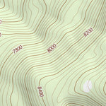 39111NE Page 63 Nephi Topo Preview 2