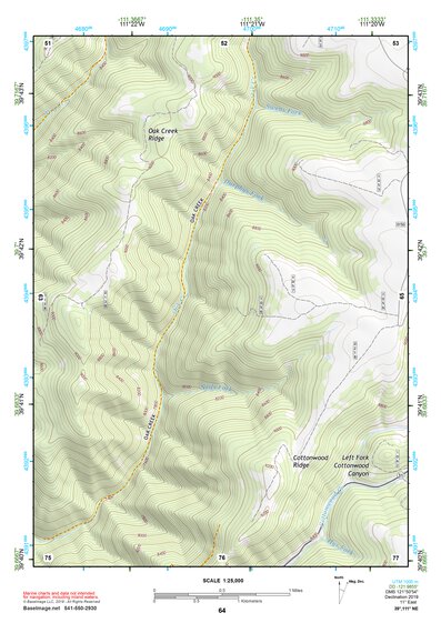 39111NE Page 64 Nephi Topo Preview 1