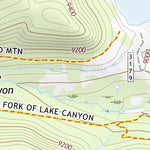 39111NE Page 90 Nephi Topo Preview 2