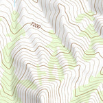 39112NE Page 1 Lynndyl Topo Preview 2