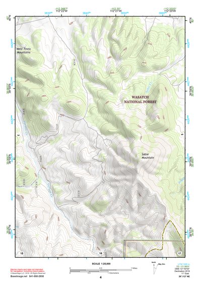 39112NE Page 4 Lynndyl Topo Preview 1