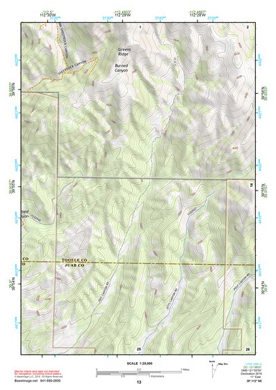 39112NE Page 13 Lynndyl Topo Preview 1