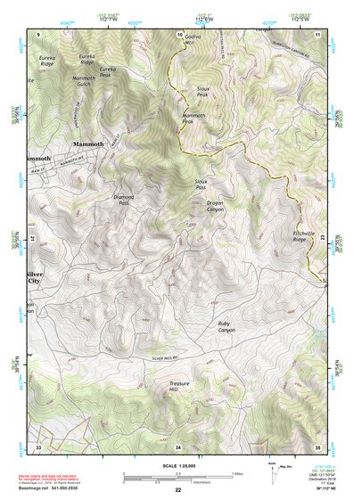 39112NE Page 22 Lynndyl Topo Preview 1