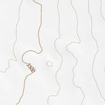 39112NE Page 84 Lynndyl Topo Preview 2