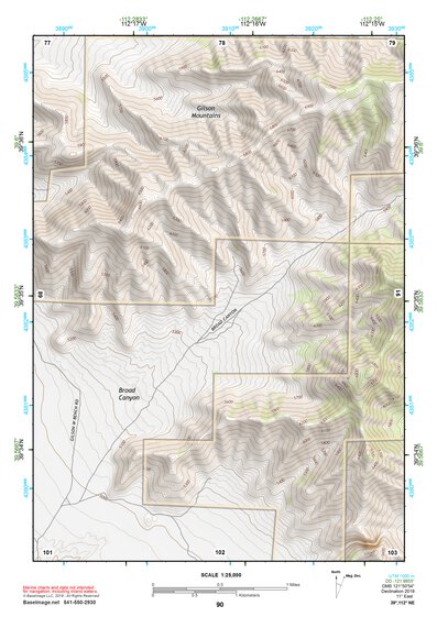 39112NE Page 90 Lynndyl Topo Preview 1