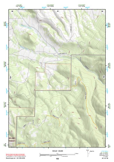 39112SE Page 103 Delta Topo Preview 1