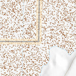 39112SW Page 79 Delta Topo Preview 3