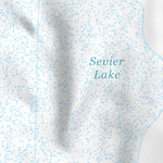 39112SW Page 85 Delta Topo Preview 3