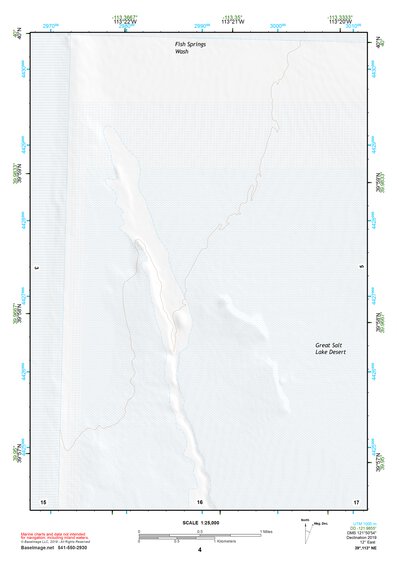 39113NE Page 4 Fish Springs Topo Preview 1