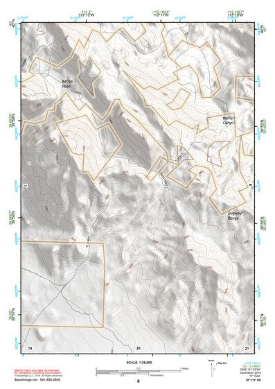 39113NE Page 8 Fish Springs Topo Preview 1