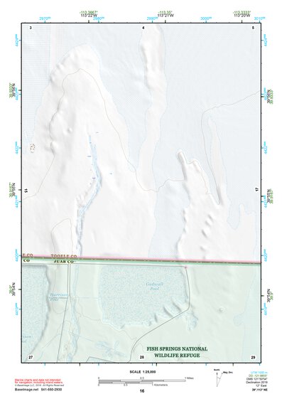 39113NE Page 16 Fish Springs Topo Preview 1