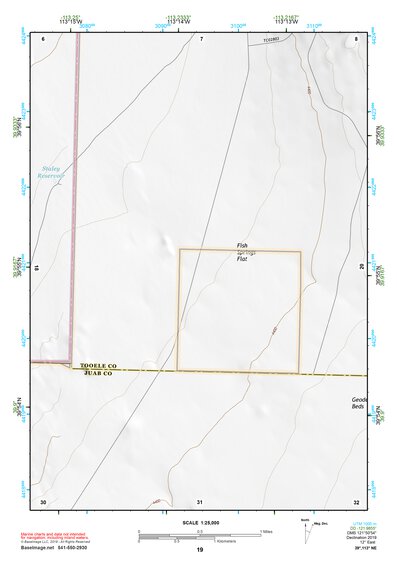 39113NE Page 19 Fish Springs Topo Preview 1