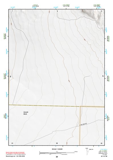 39113NE Page 20 Fish Springs Topo Preview 1