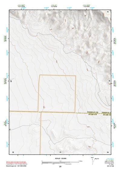 39113NE Page 21 Fish Springs Topo Preview 1