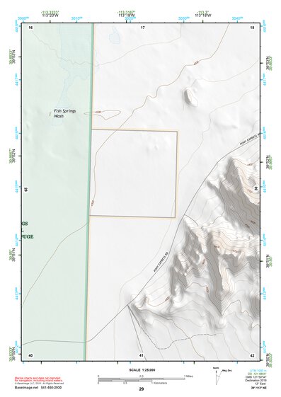 39113NE Page 29 Fish Springs Topo Preview 1