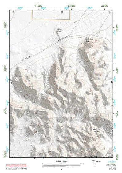 39113NE Page 30 Fish Springs Topo Preview 1