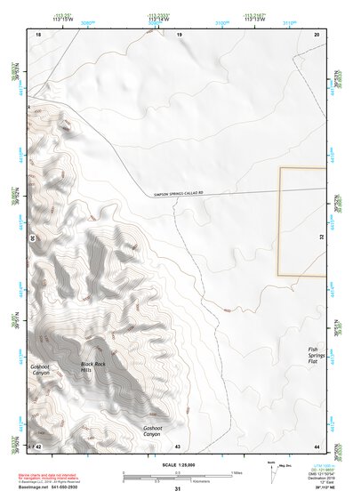 39113NE Page 31 Fish Springs Topo Preview 1