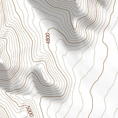 39113NE Page 39 Fish Springs Topo Preview 3