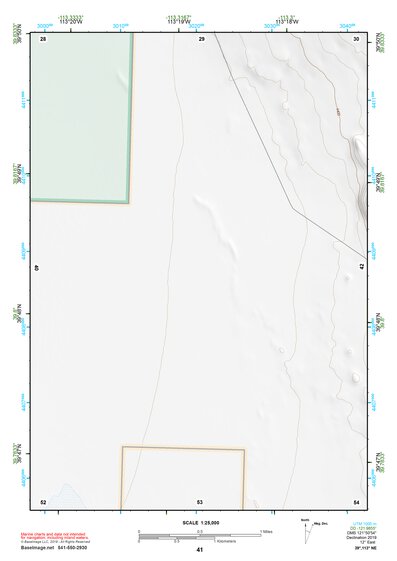 39113NE Page 41 Fish Springs Topo Preview 1