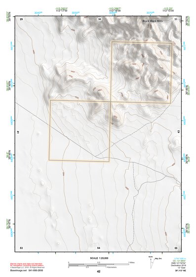 39113NE Page 42 Fish Springs Topo Preview 1