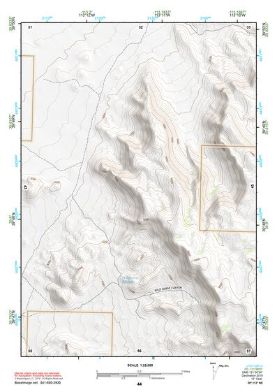 39113NE Page 44 Fish Springs Topo Preview 1