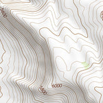 39113NE Page 44 Fish Springs Topo Preview 2