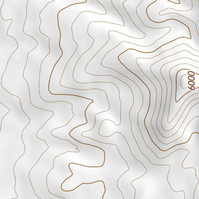 39113NE Page 49 Fish Springs Topo Preview 2