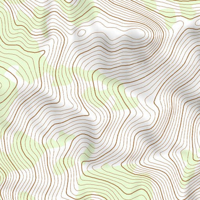 39113NE Page 50 Fish Springs Topo Preview 2