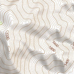 39113NE Page 50 Fish Springs Topo Preview 3