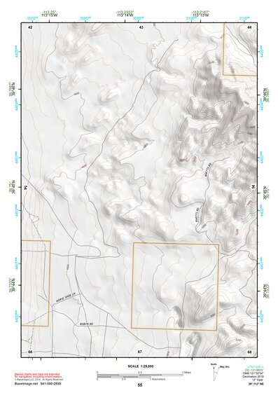 39113NE Page 55 Fish Springs Topo Preview 1