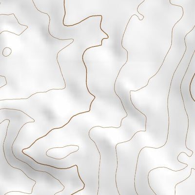 39113NE Page 55 Fish Springs Topo Preview 2