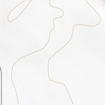 39113NE Page 59 Fish Springs Topo Preview 2