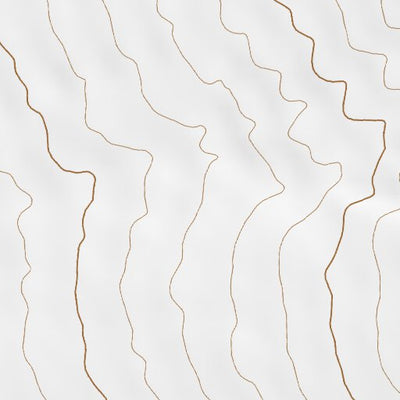 39113NE Page 61 Fish Springs Topo Preview 2