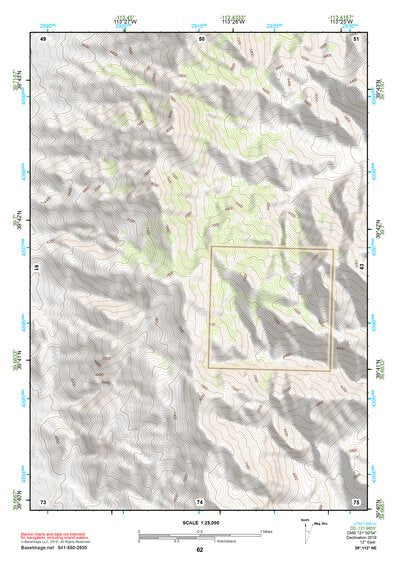 39113NE Page 62 Fish Springs Topo Preview 1
