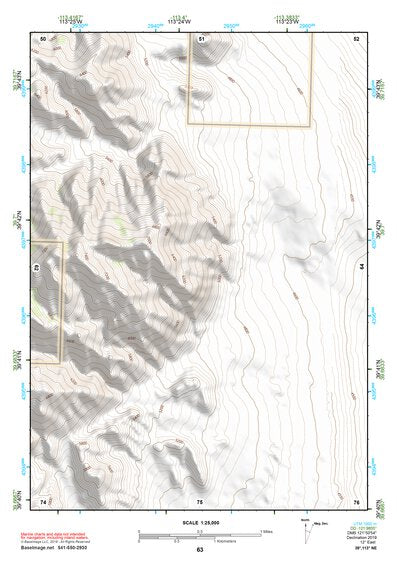 39113NE Page 63 Fish Springs Topo Preview 1