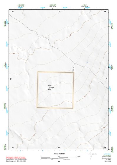 39113NE Page 65 Fish Springs Topo Preview 1