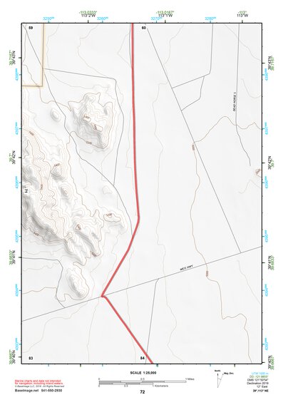 39113NE Page 72 Fish Springs Topo Preview 1