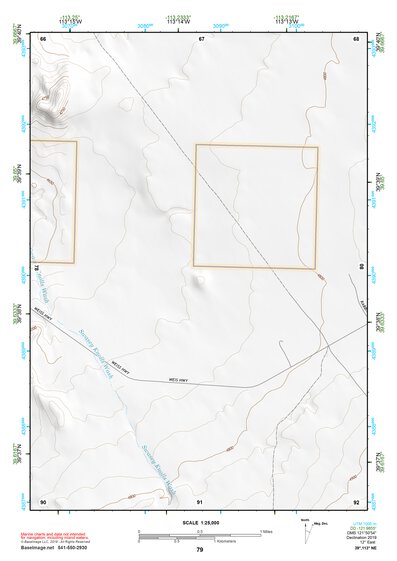 39113NE Page 79 Fish Springs Topo Preview 1