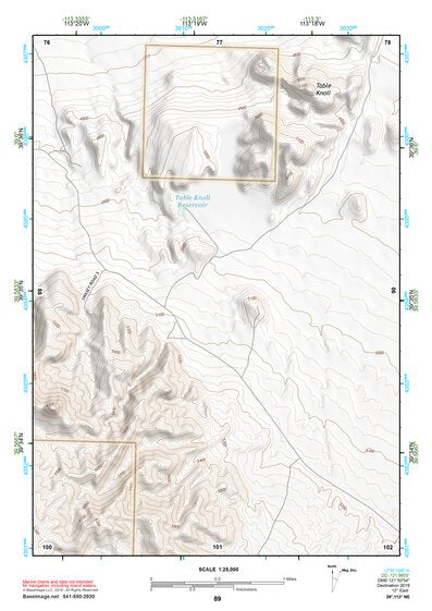 39113NE Page 89 Fish Springs Topo Preview 1