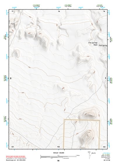 39113NE Page 90 Fish Springs Topo Preview 1
