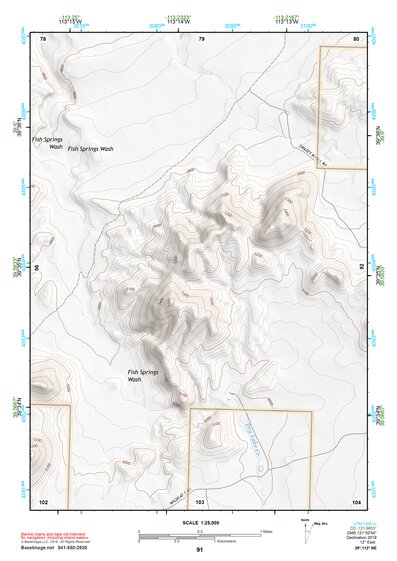 39113NE Page 91 Fish Springs Topo Preview 1